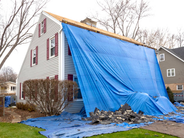 Best Yard Waste Removal  in St Leon, IN