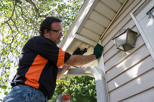 Best Same-Day Junk Removal Services  in St Leon, IN